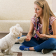 Illustration for article titled Tips For Training Your Dog